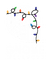 GNOME WELLNESS